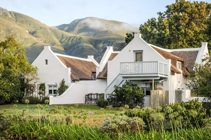 Coppull's whitewashed Cape Dutch homestead beneath a thatched roof